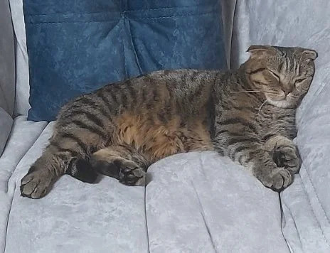 Hardworking team member