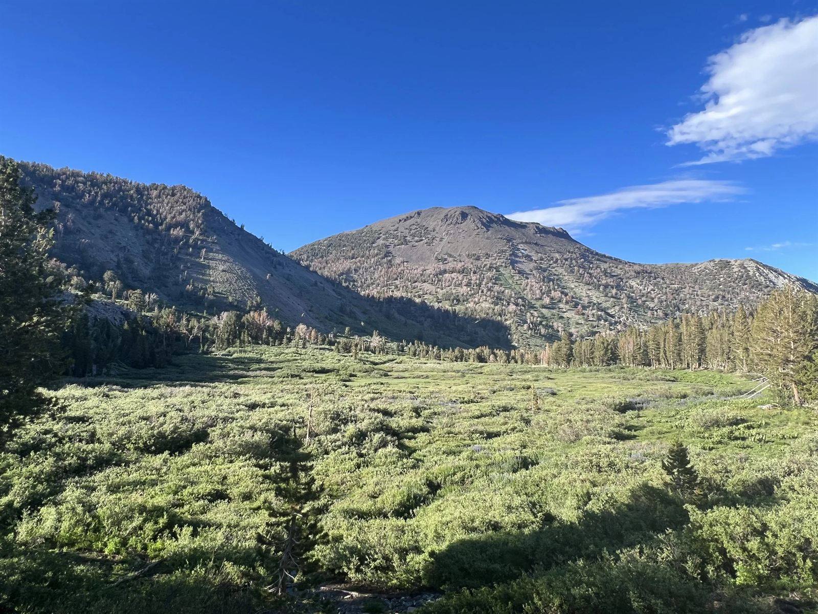 Mt. Rose ski area